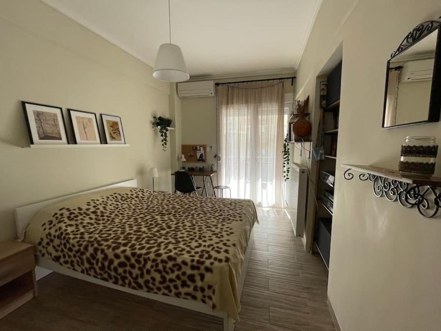 Elpiriana's Modern House In *