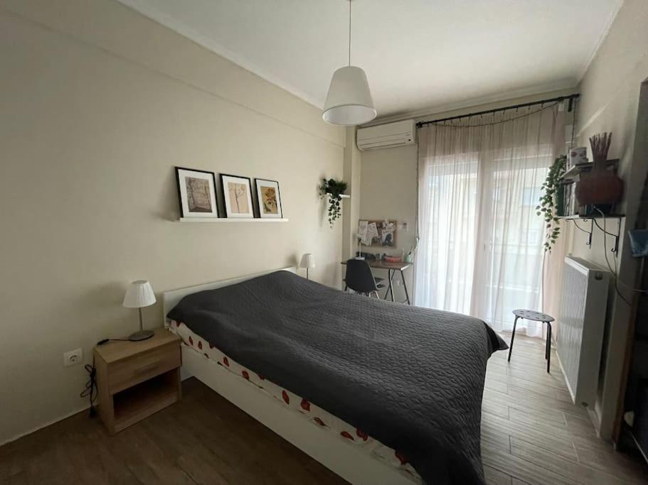 Elpiriana's Modern House In
