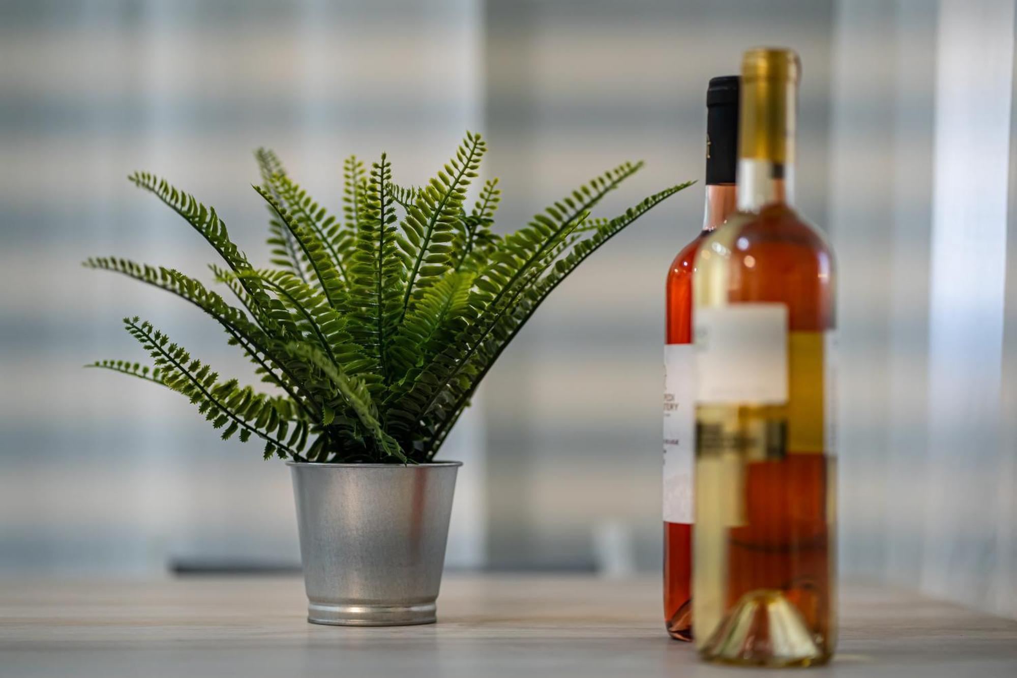 Feel Greek Hospitality #θ007 Apartment *