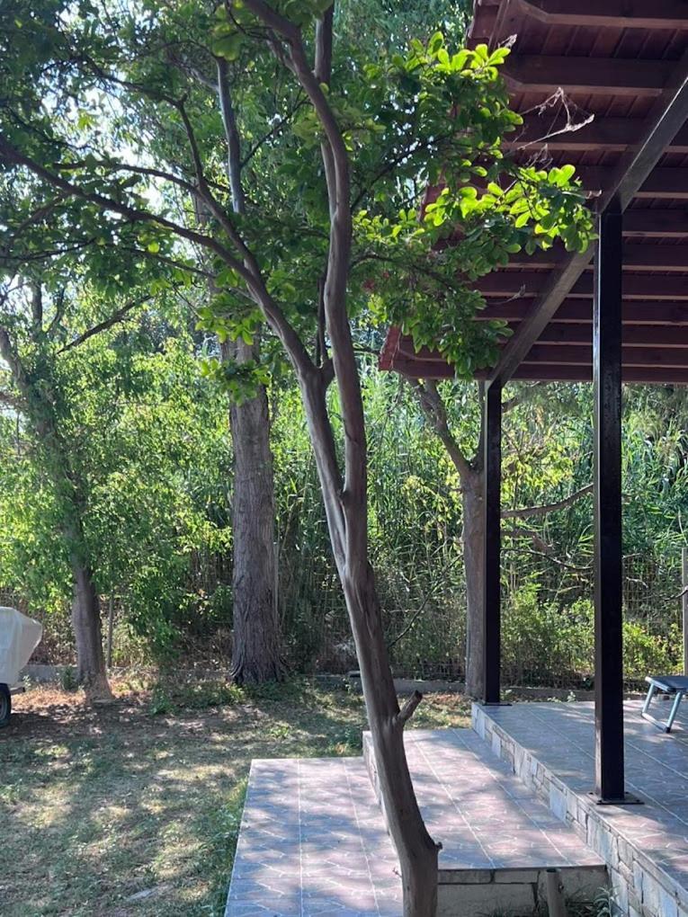 Vakantiehuis Green Thessaloniki