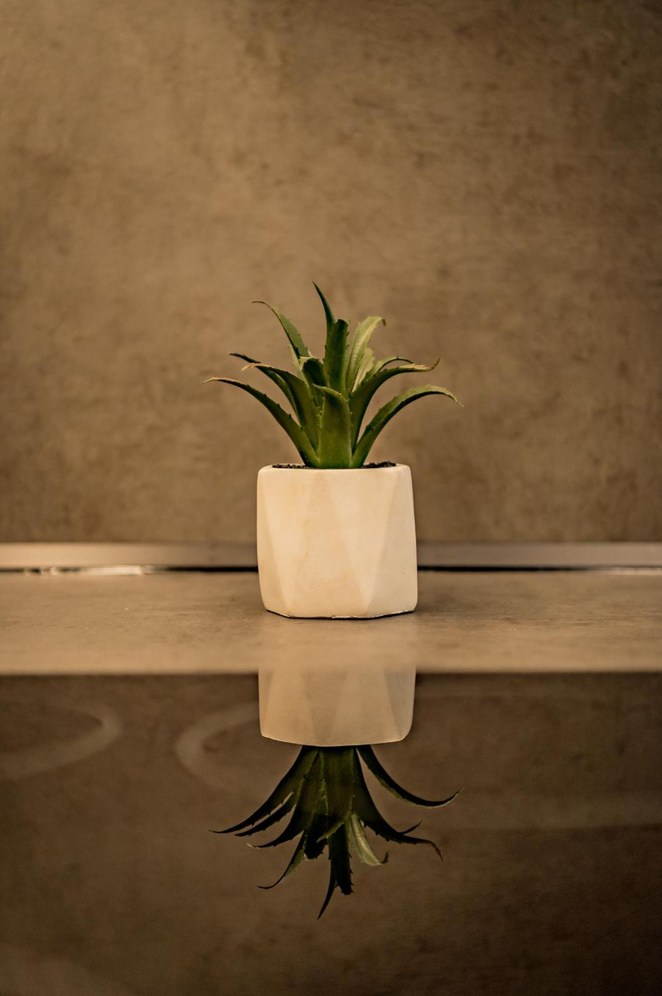 Urban Luxury
