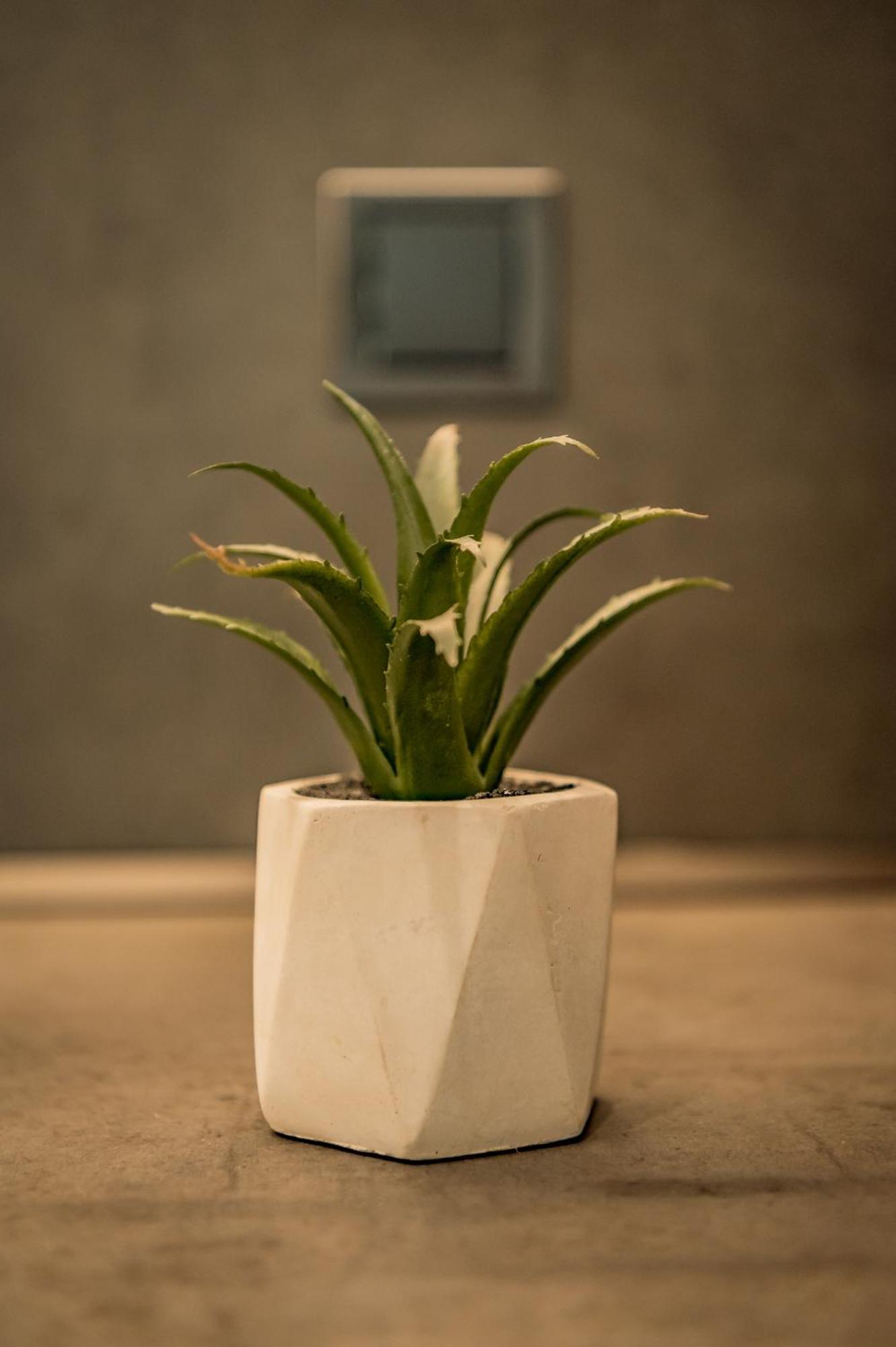 Apartment Urban Luxury *