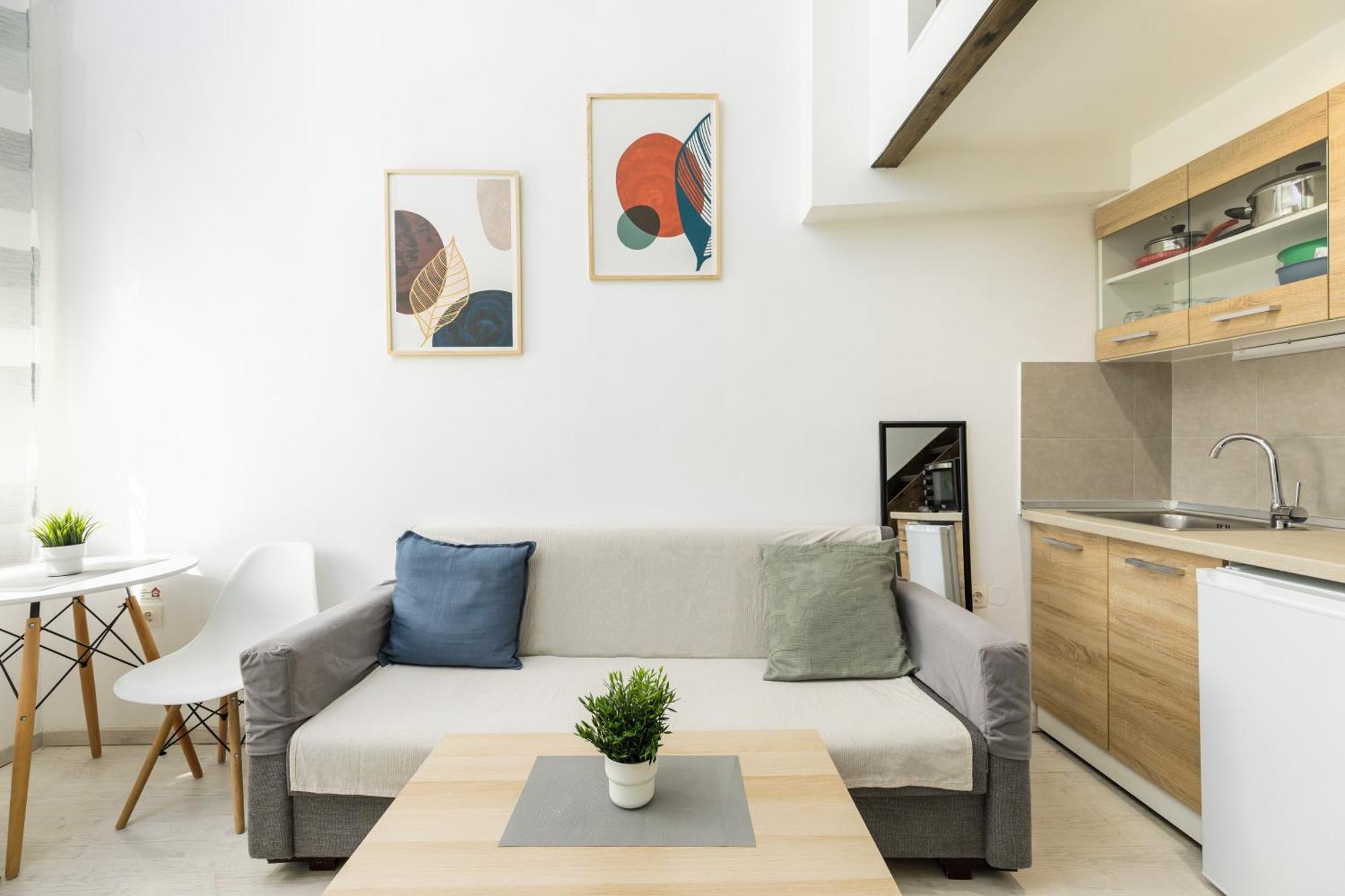 Apartment Stylish Loft In Center 1