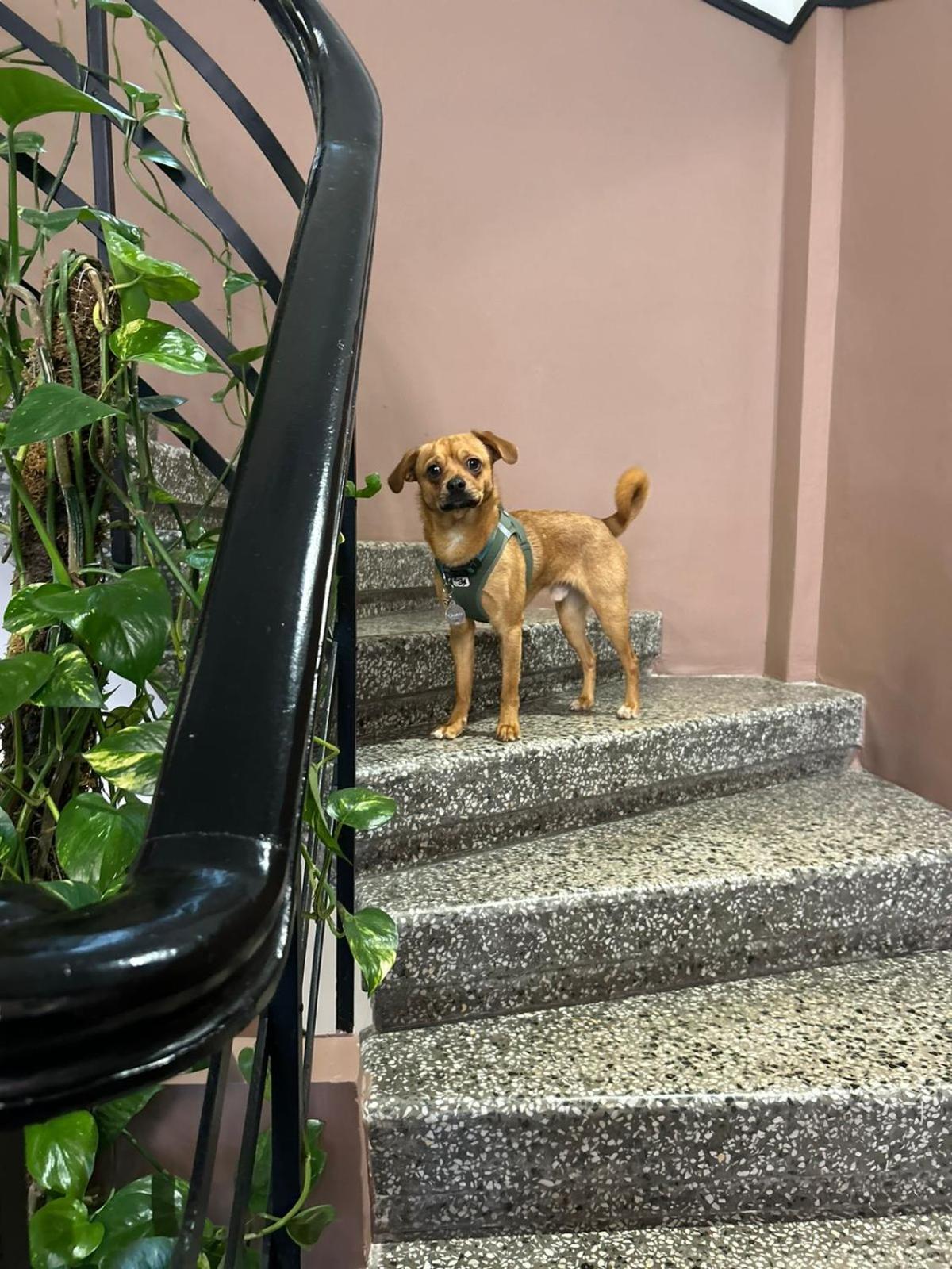 72 Ad Bed & Breakfast Thessaloniki