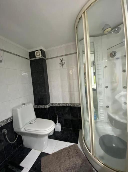 Apartment жилье целиком *