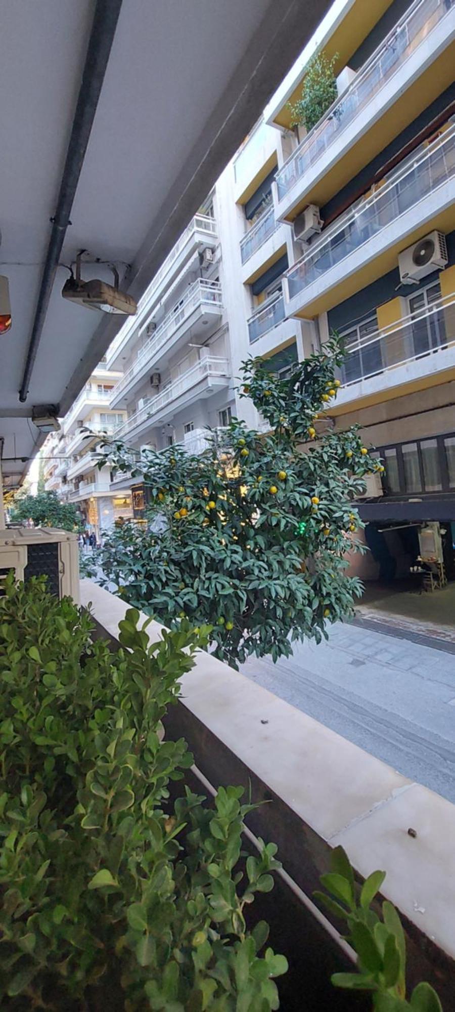 Urban Hide * Thessaloniki