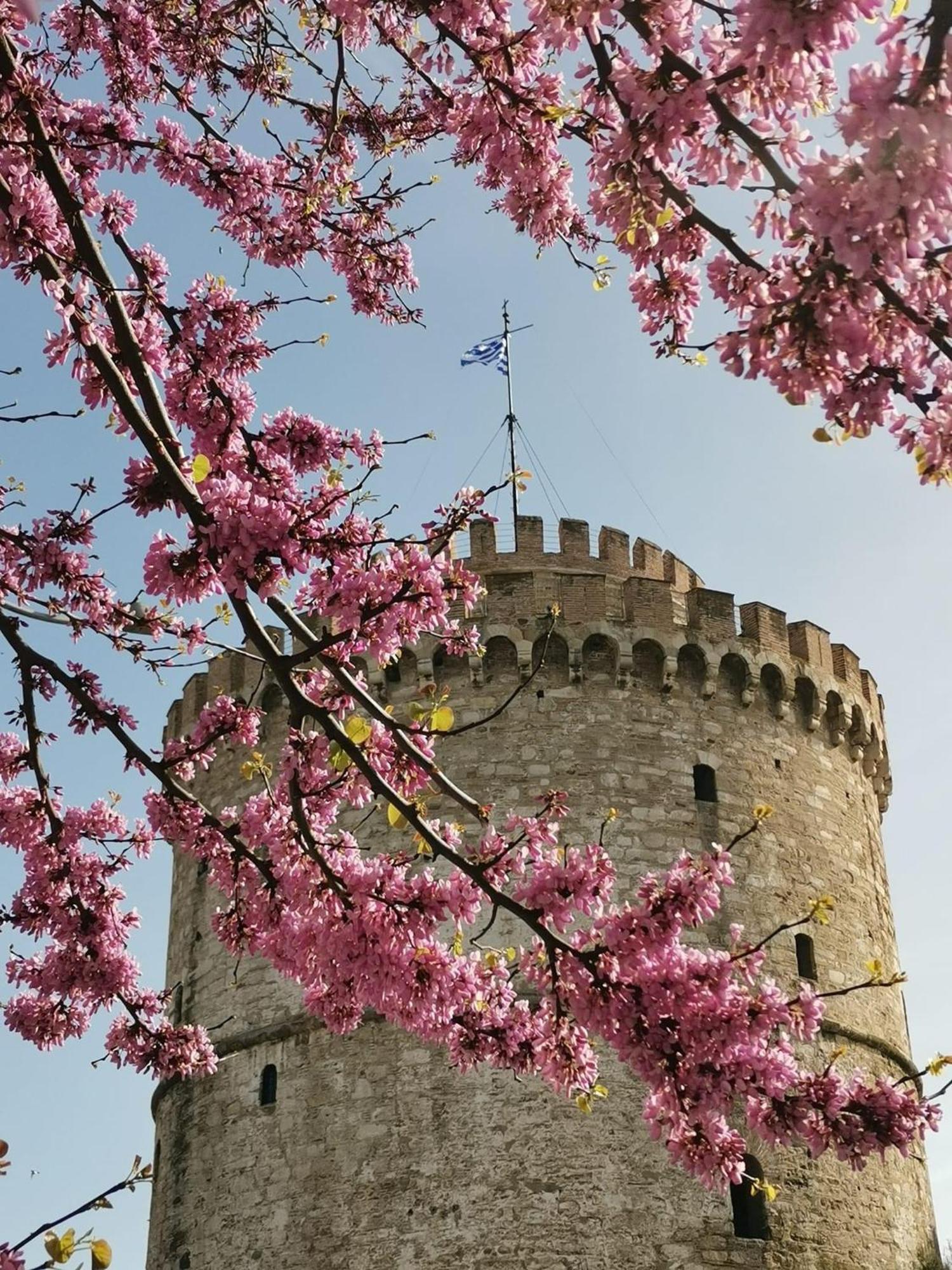55 Egnatia