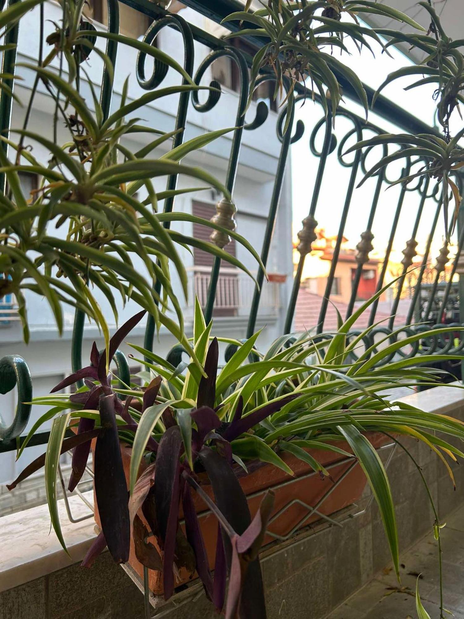 The Makrina Flat Apartment