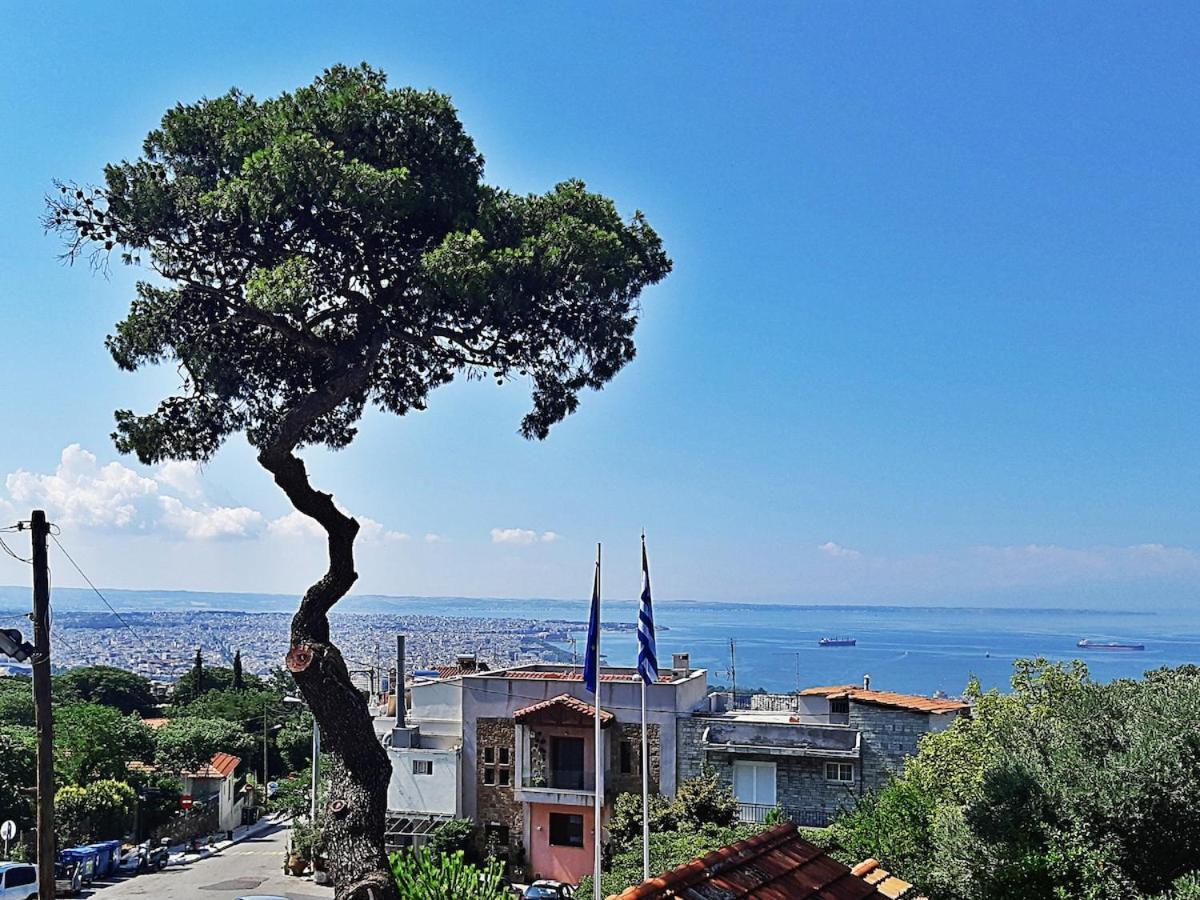New With Backyard Apartment Thessaloniki