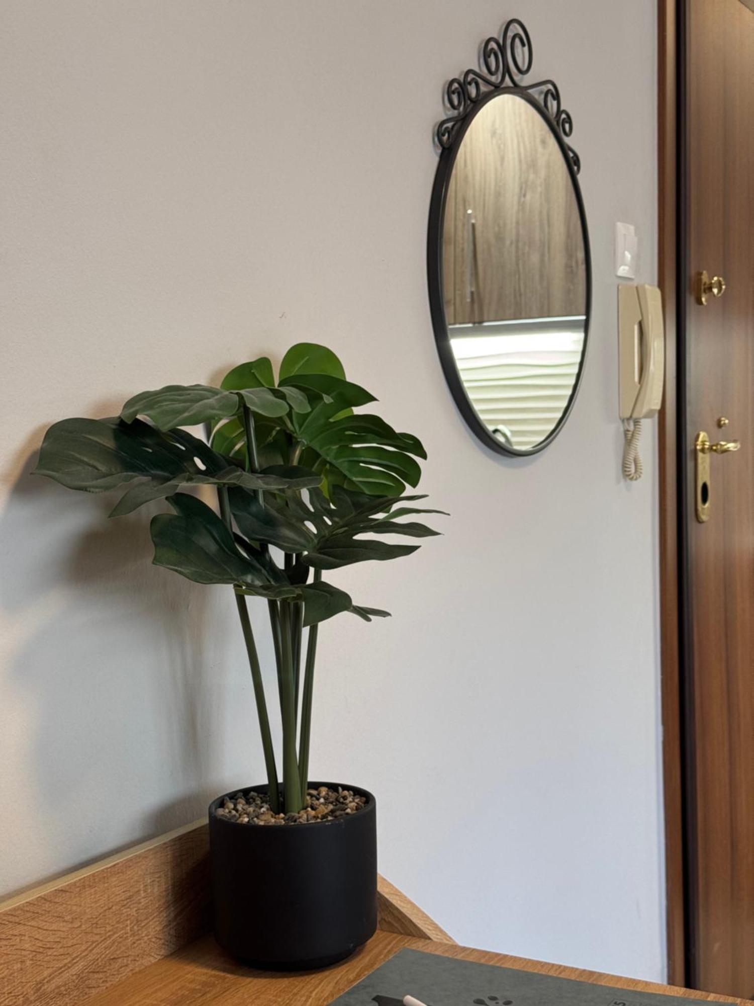 Work From Project Apartment *