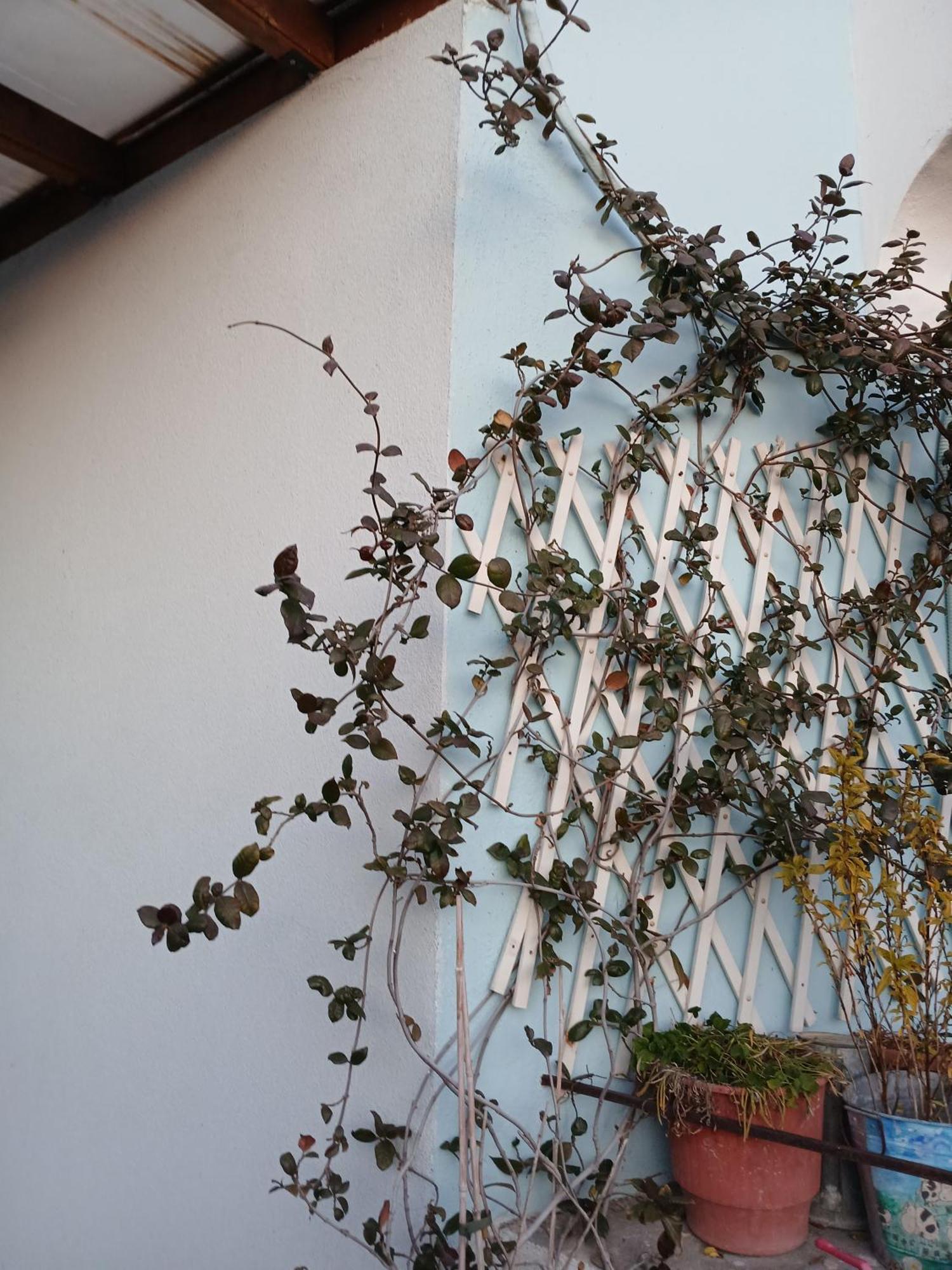 Apartment Athina Thessaloniki
