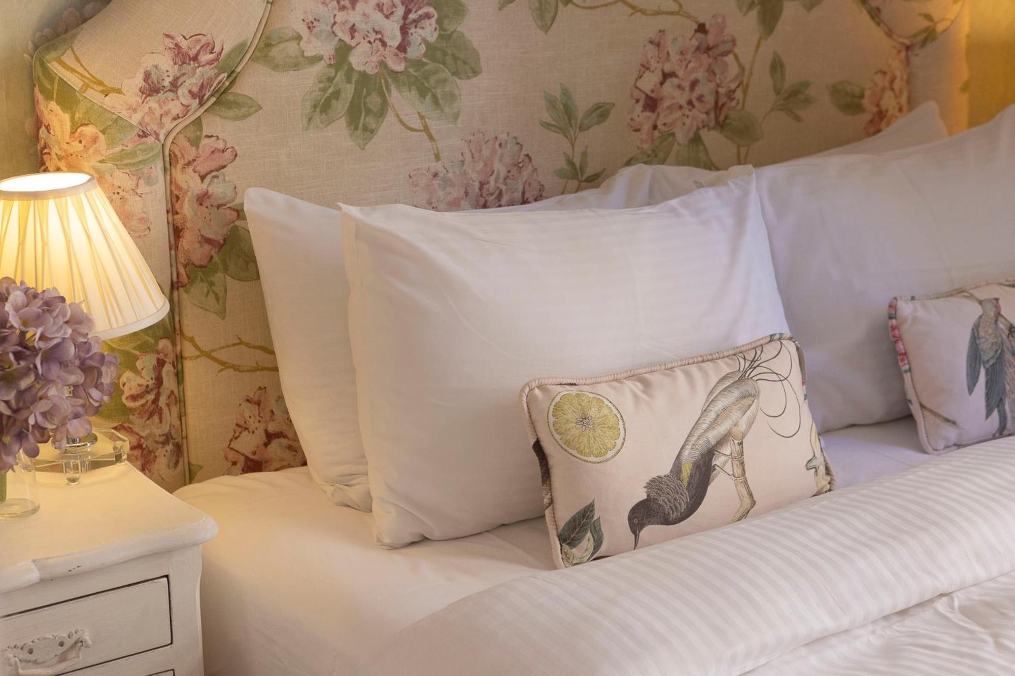 Gatto Perso Luxury Apartment *