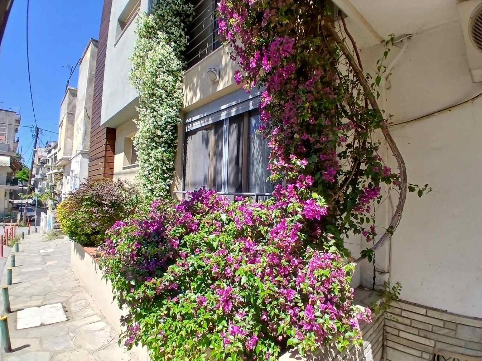 Apartment Quiet Urban With Private Backyard Thessaloniki