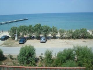 Tzitzifies Selanik