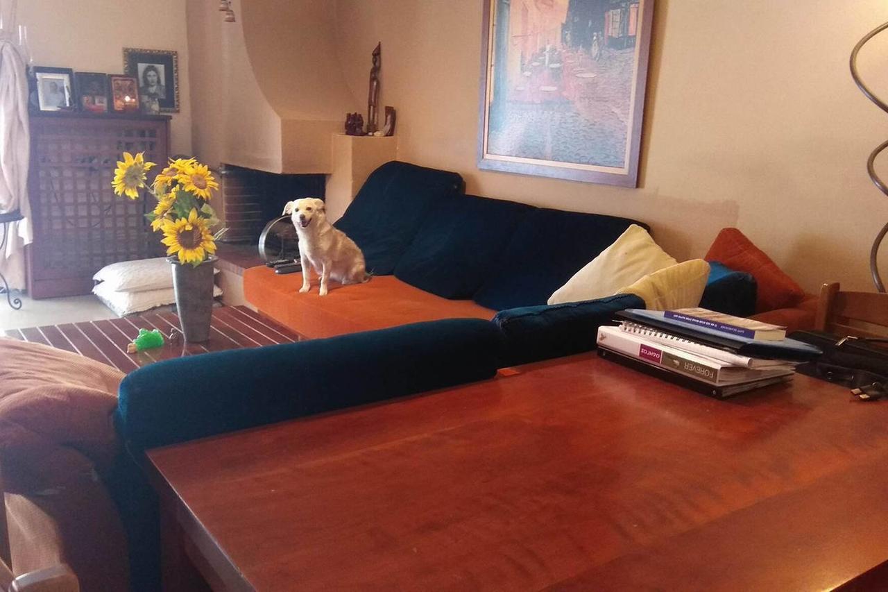 Private In A Shared Flat Pansiyon *