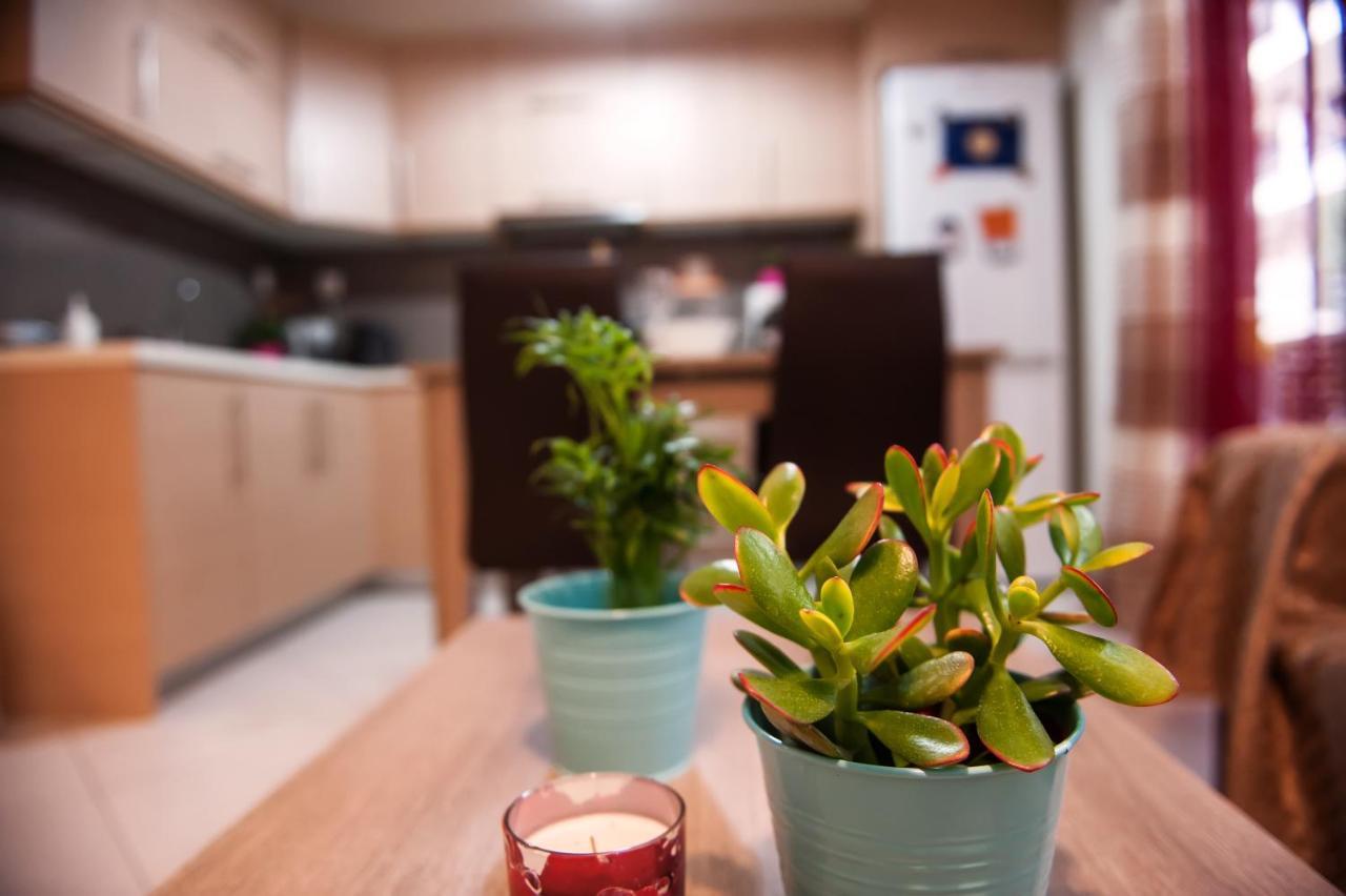 City House Apartment