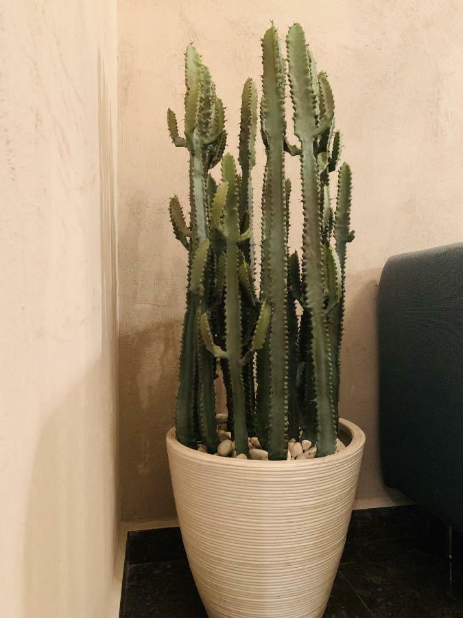 Apartment Jolene