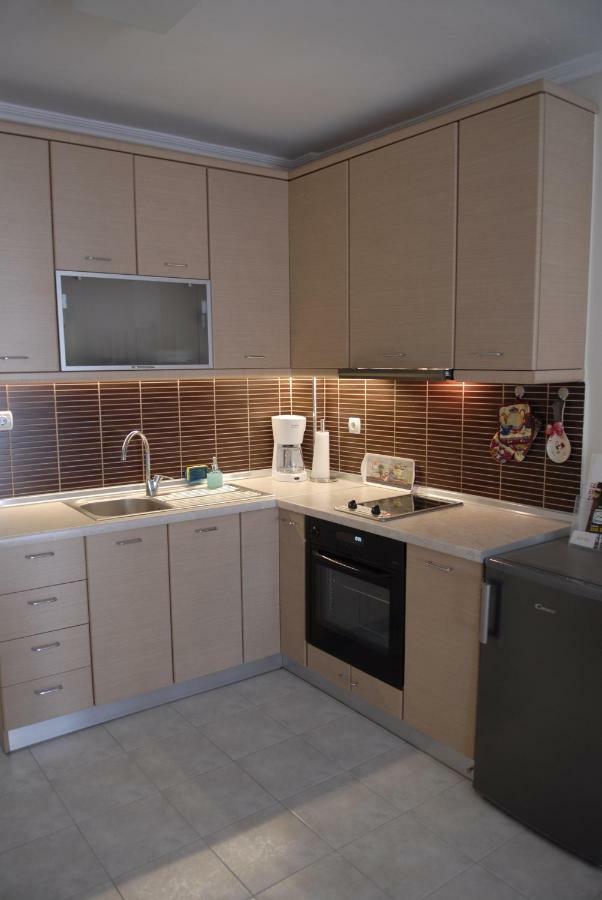 Lion Center Apartment *
