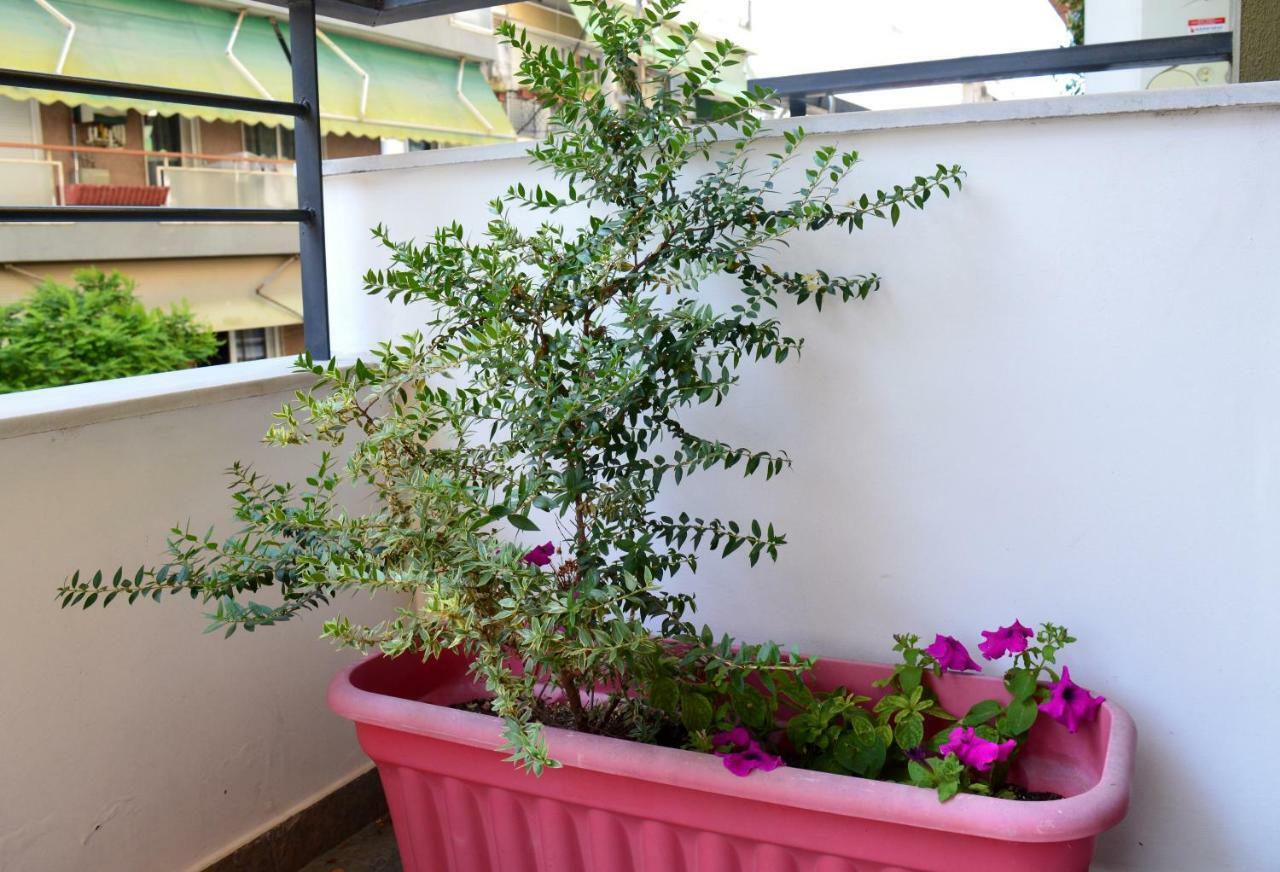 Daire Cosy 1 Close To The City Center *