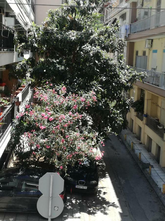 Seg Gold Apartment