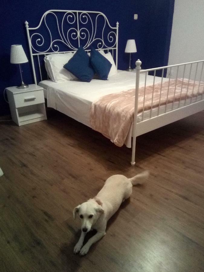 Lemon's House Apartment *