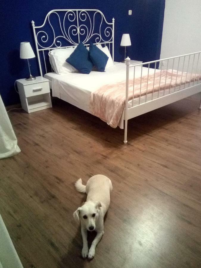 Lemon's House *