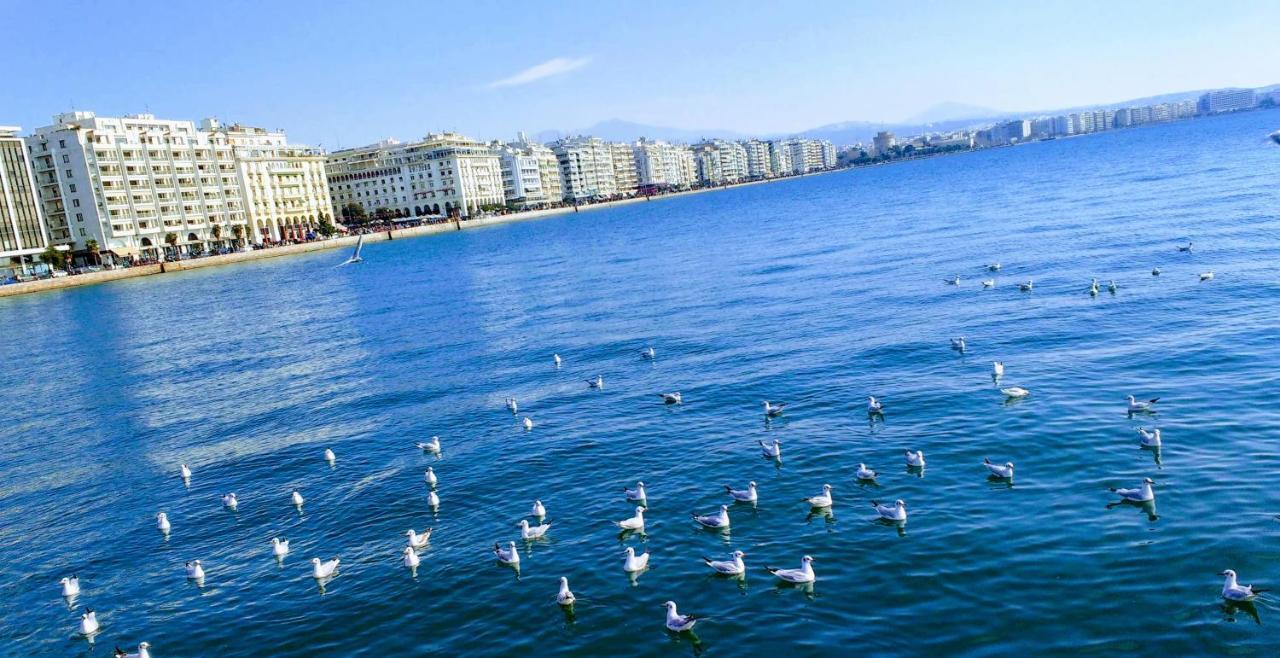 Here Thessaloniki! In The Near The Sea Selanik