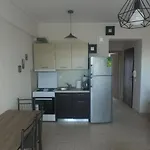 Cozy Luminous Apartment