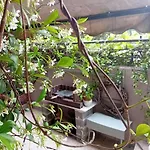 Stella\'S Jasmine
