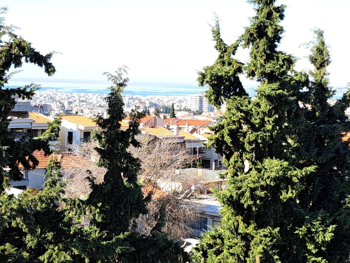 Apartamento όμορφο διαμέρισμα- σοφίτα με υπέροχη θεα