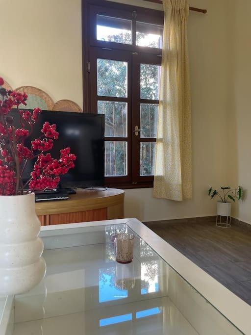Apartment αrchontiko Theofilou