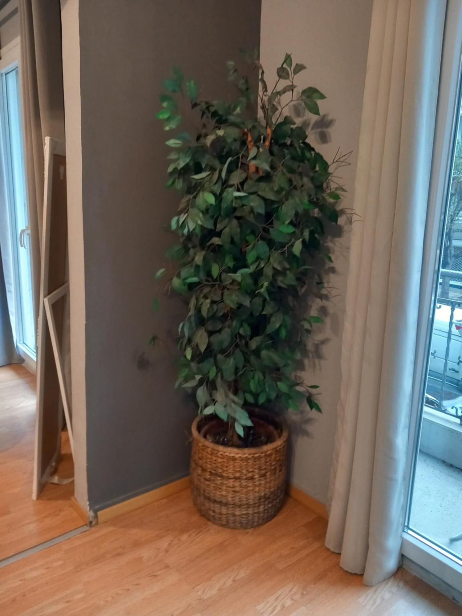 Apartment Closer 
