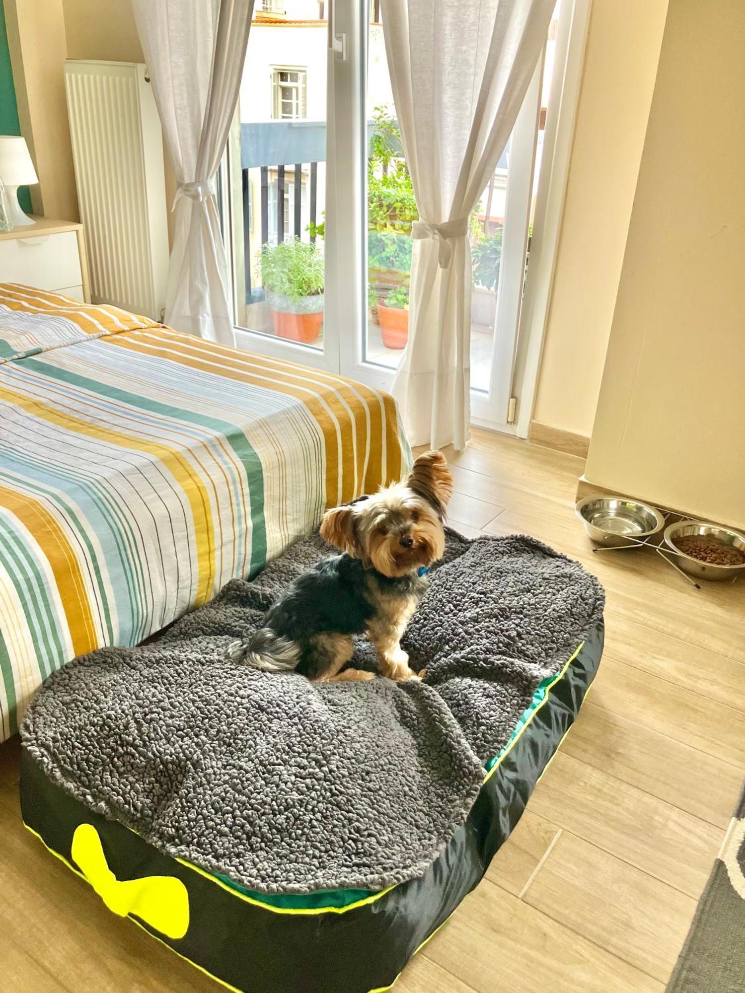 Apartamento Super Cute & Cozy Mini In City Center *