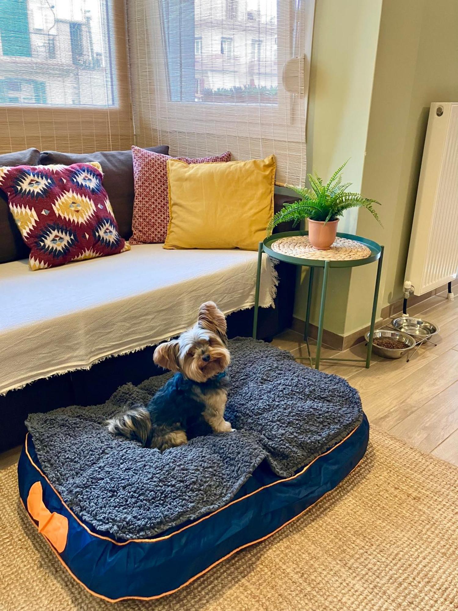 Super Cute & Cozy Mini In City Center * Tessalónica