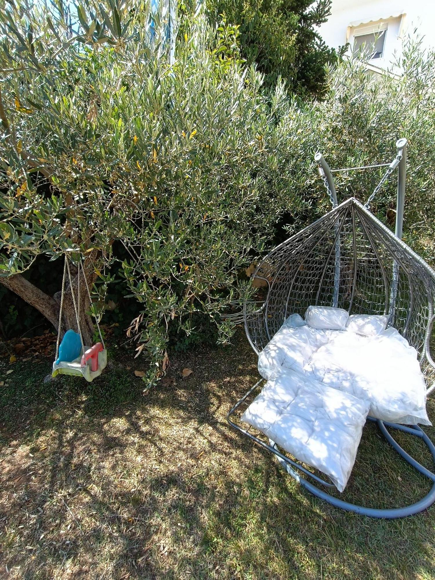 Panorama Daire *