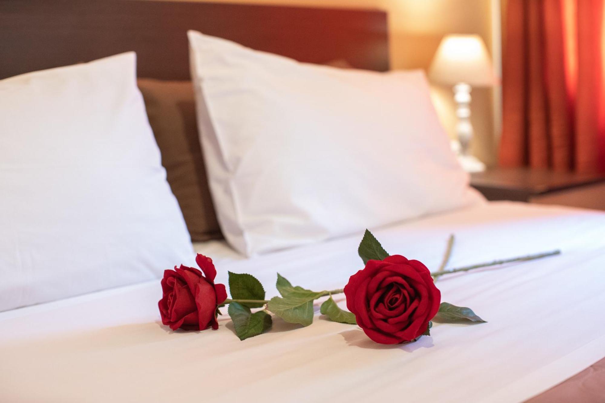 Alexandria Hotel *