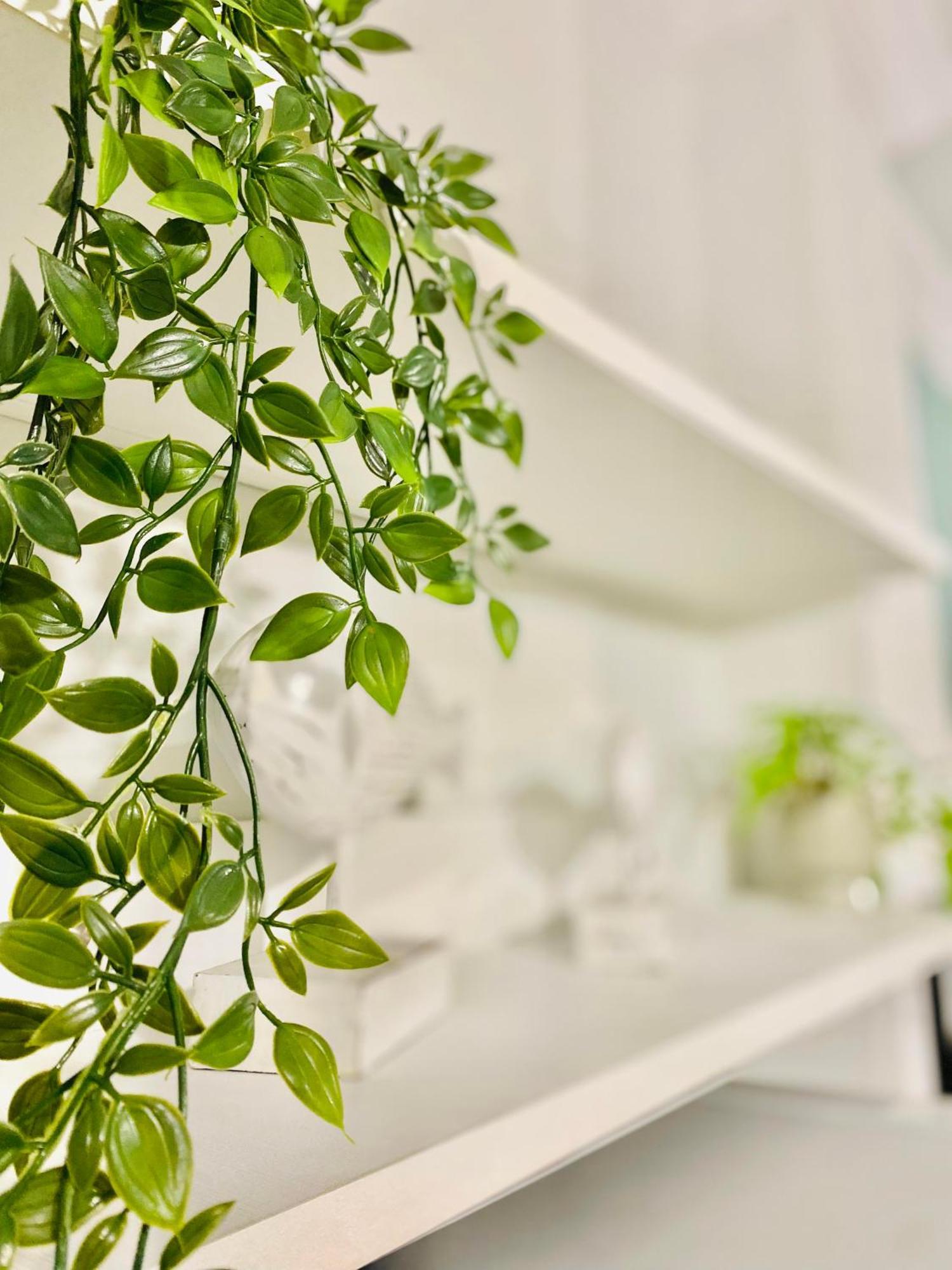 Niso Hospitality Apartamento *
