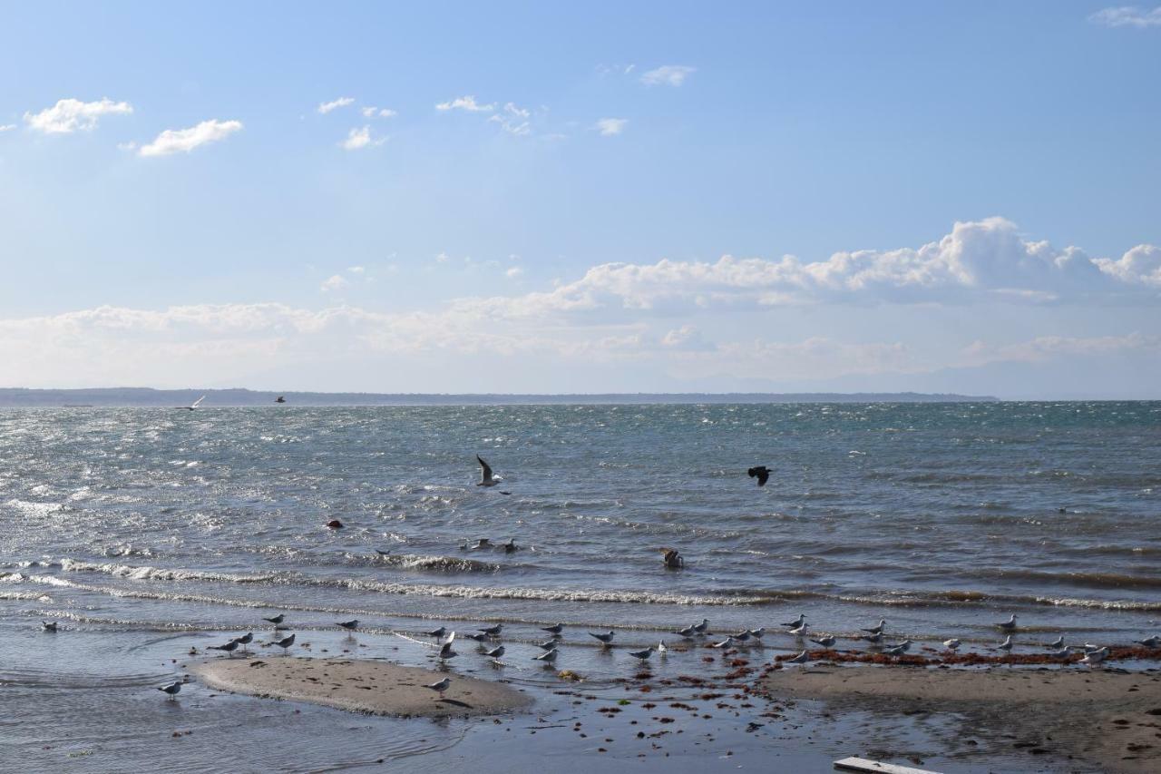 Căn hộ East Coast