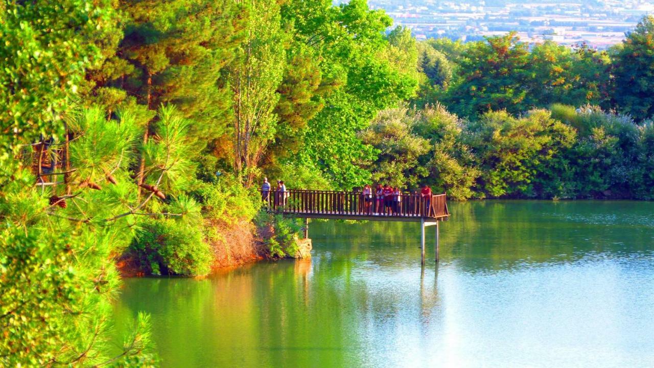 Panorama Daire Selanik
